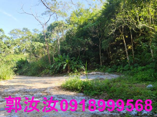 台南白河農地-3