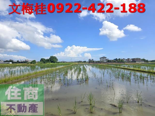 宜蘭宜蘭市農地-2