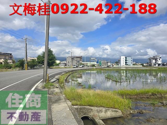 宜蘭宜蘭市農地-3