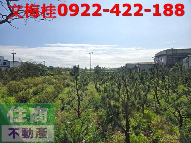 宜蘭頭城農地-1