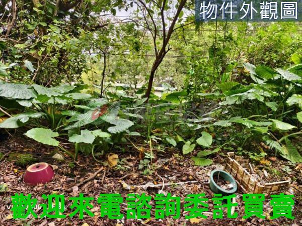淡水建地-4