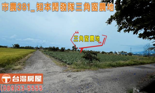 台東台東市農地-1