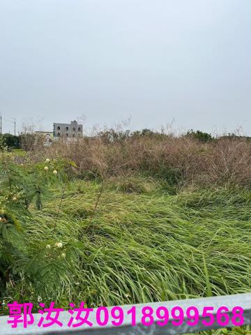將軍建地-6