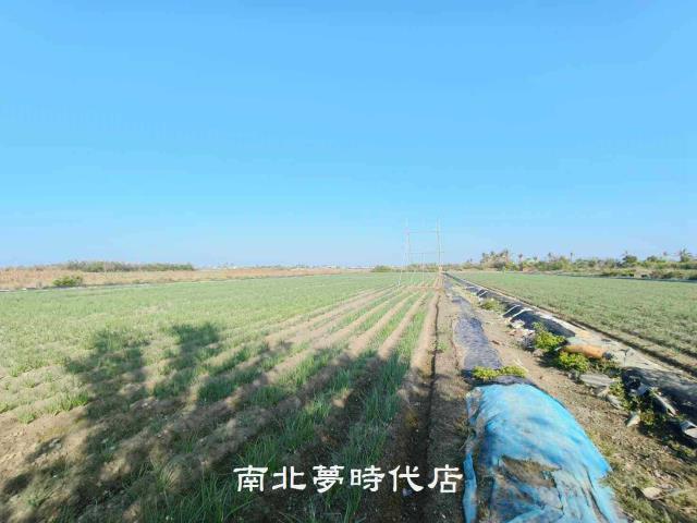安南農地-6