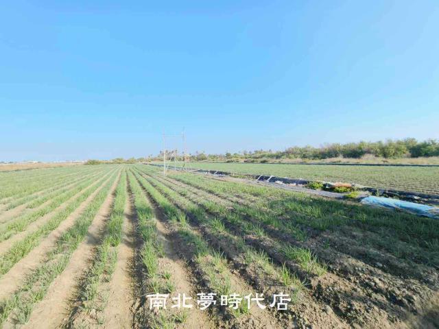 安南農地-7