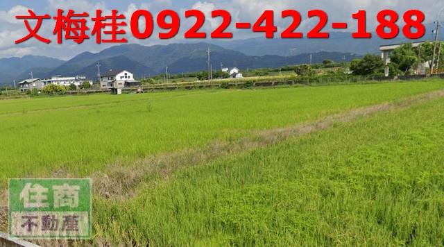 宜蘭三星農地-1