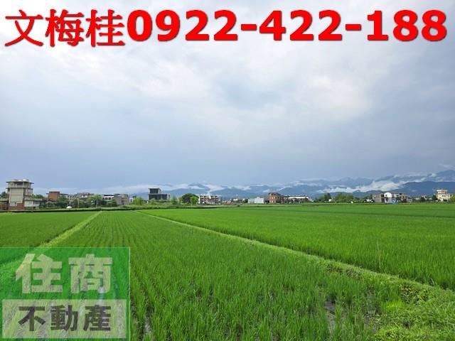 宜蘭員山農地-2