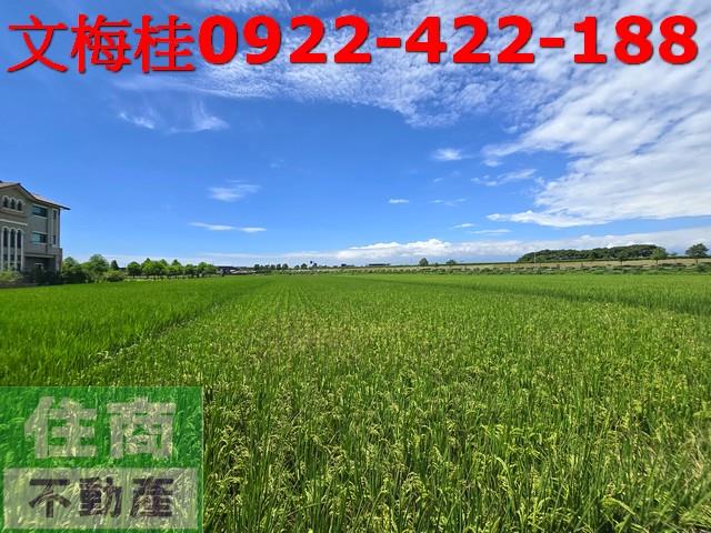 宜蘭壯圍農地-1