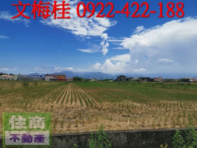 宜蘭壯圍農地-1