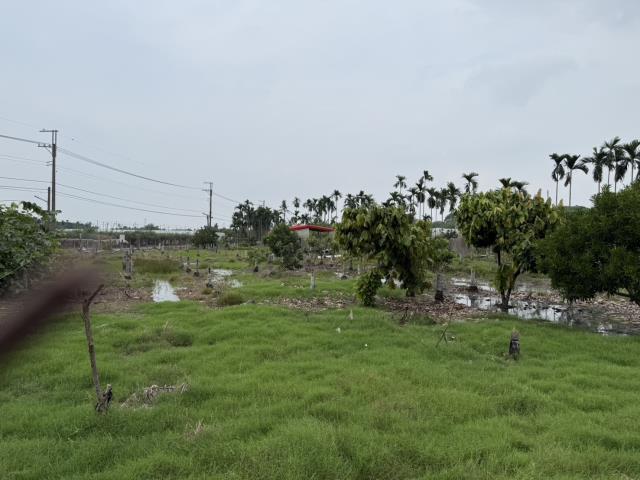 鹽埔農地-7