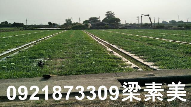 善化農地-2