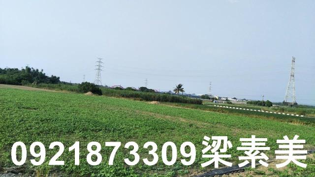 善化農地-8
