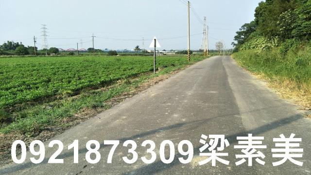 善化農地-9