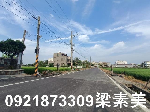 善化農地-9