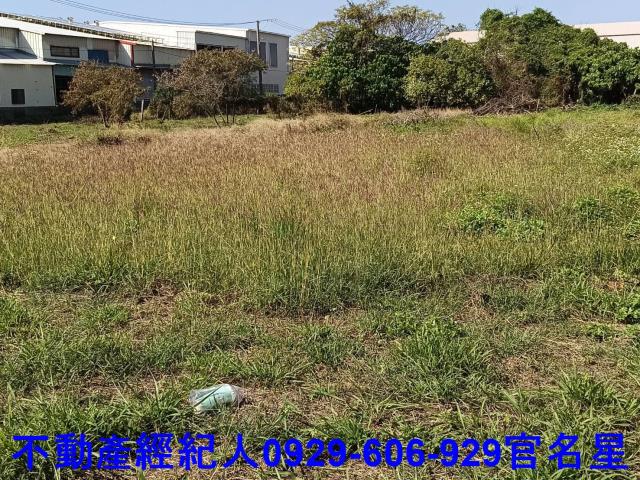 高雄梓官工業地-6