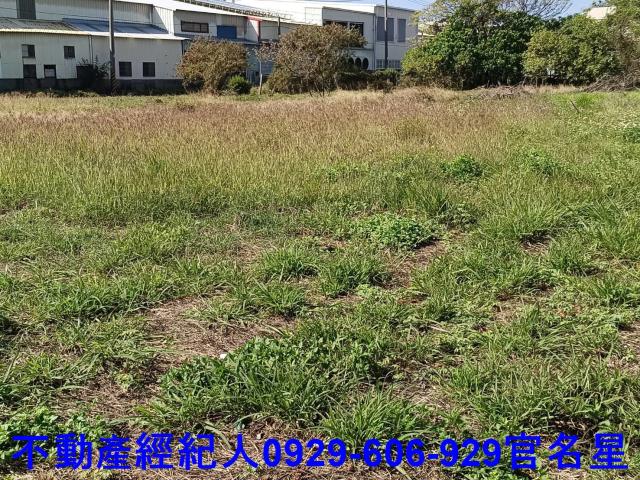高雄梓官工業地-8