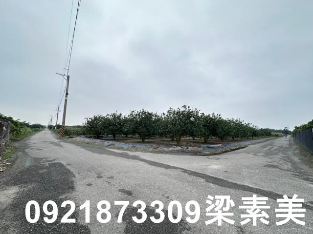 麻豆農地-11
