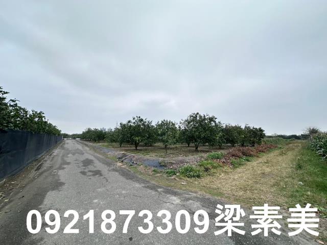 麻豆農地-3