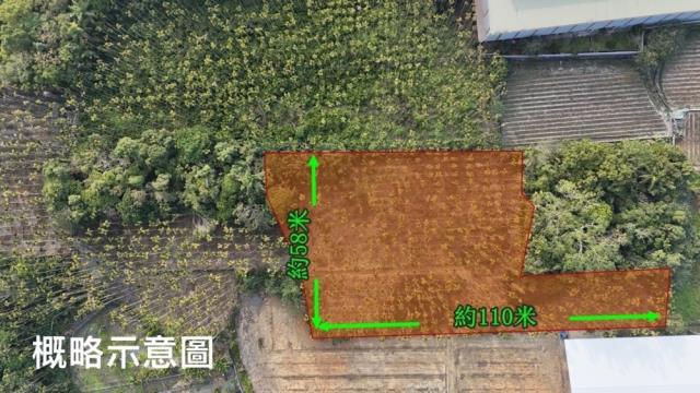 南投名間農地-3