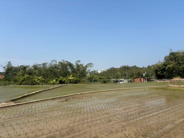 南投草屯農地-3
