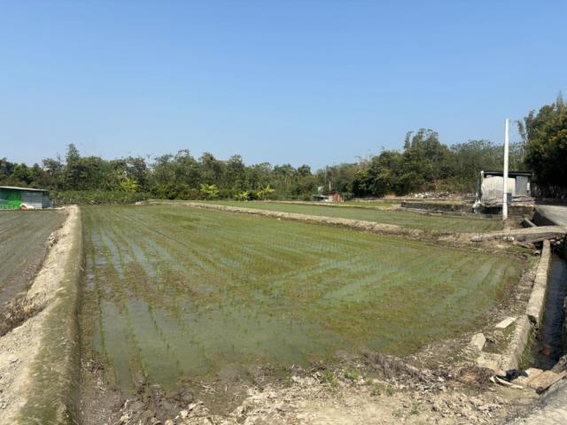 南投草屯農地-5