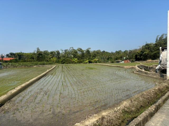 南投草屯農地-6