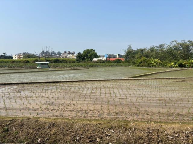 南投草屯農地-9