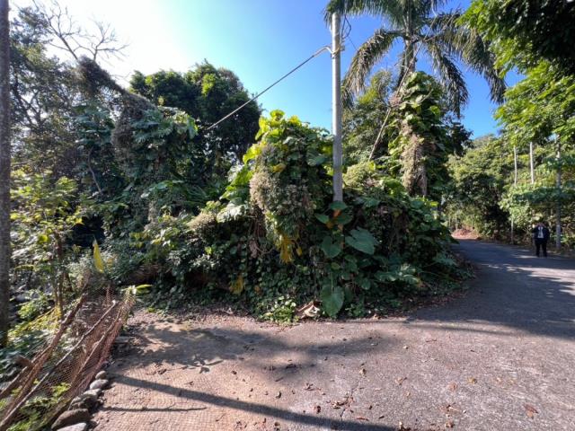 南投名間建地-5