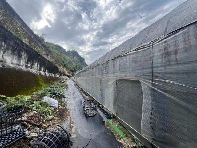 南投草屯建地-4