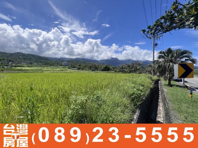 台東長濱農地-5
