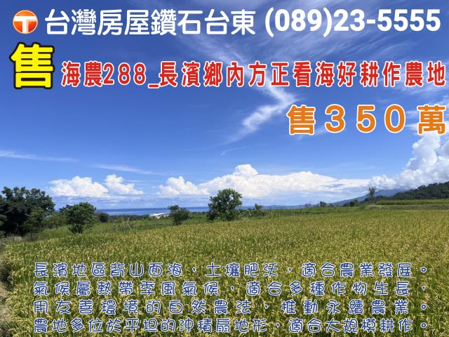 台東長濱農地-1