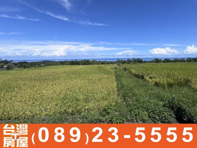 台東長濱農地-6