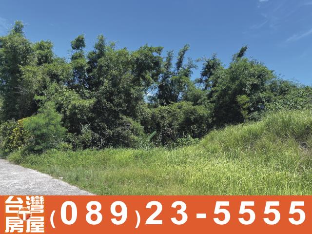 台東長濱農地-2