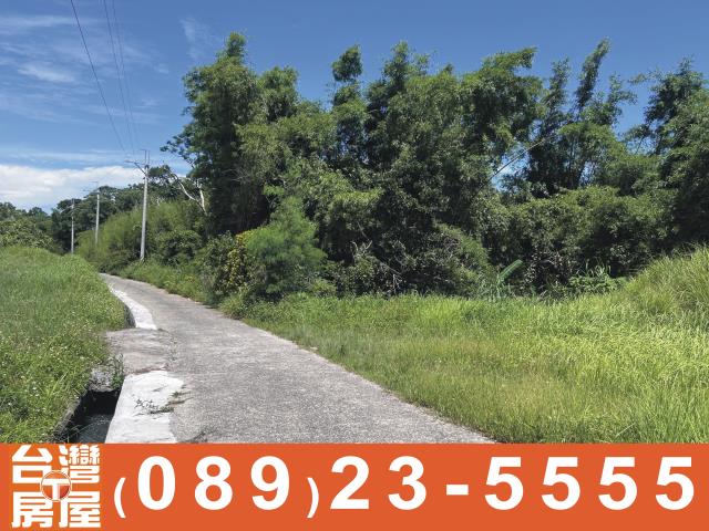 台東長濱農地-5
