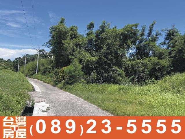 台東長濱農地-6