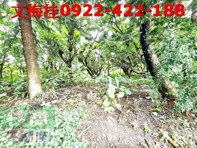 宜蘭頭城建地-4