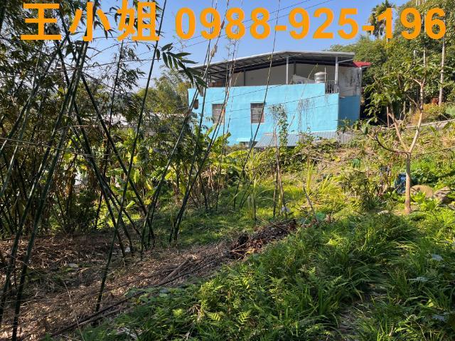 桃園大溪農地-1