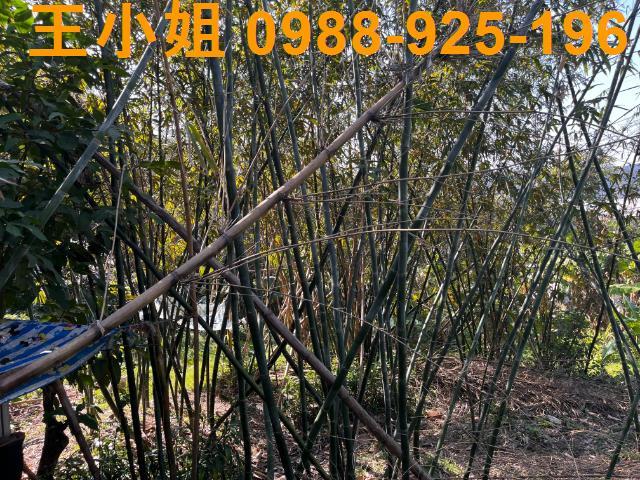 桃園大溪農地-5