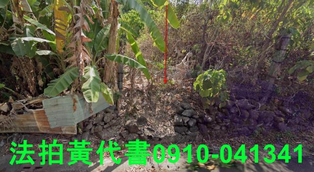 高雄田寮法拍農地-1