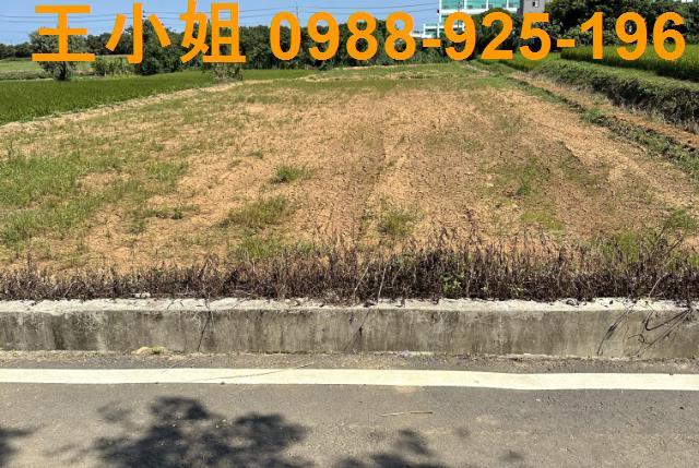 桃園新屋農地-4