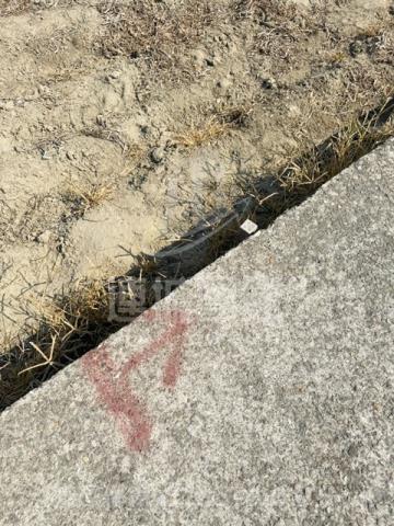 台南安南農地-10