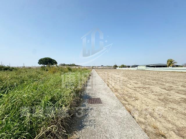 台南安南農地-6