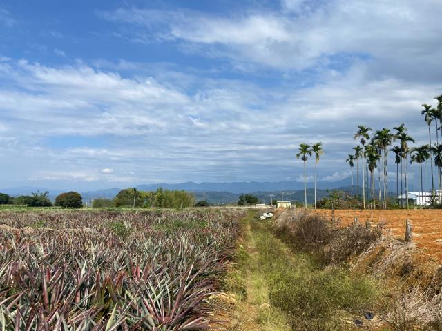 南投名間農地-3