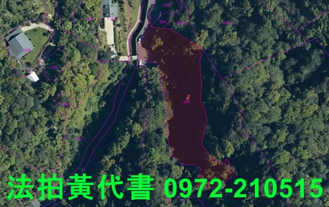 文山區拍賣休閒地-3