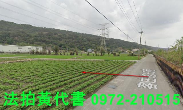 清水拍賣農地-12