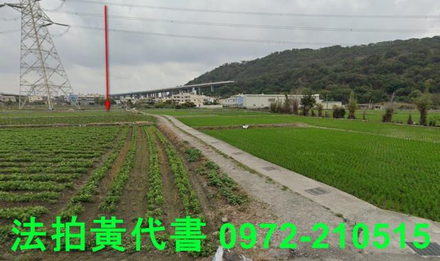 清水拍賣農地-5