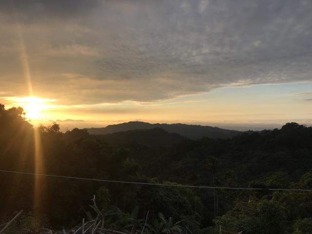 台中太平農地-11