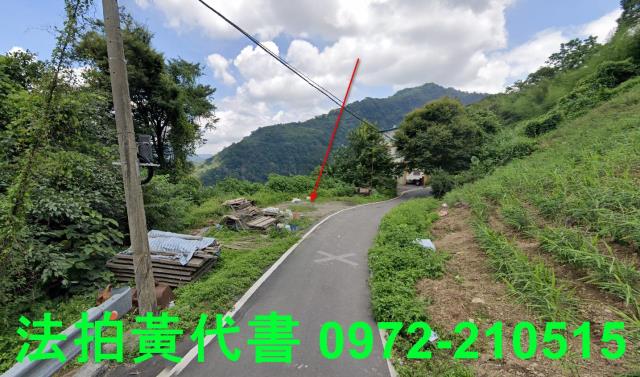 苗栗法拍建地-12