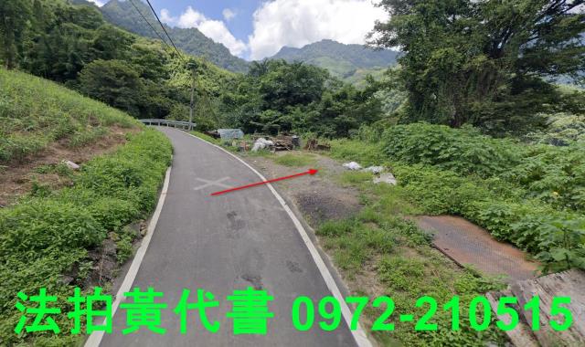 苗栗法拍建地-5