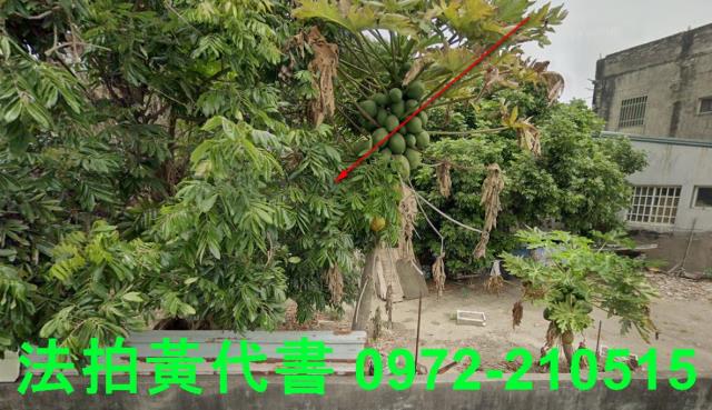 北港法拍建地-12